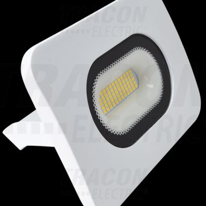 LED REFLEKTOR RSMDLF30