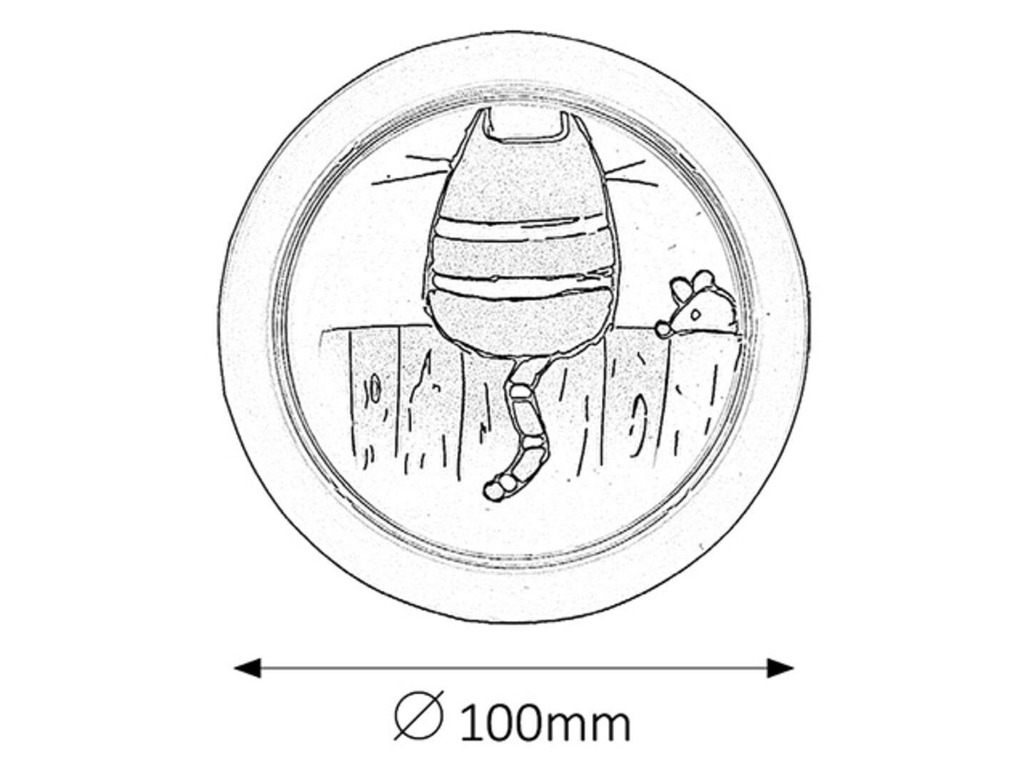 SVJETILJKA PUSH LIGHT 4564 CATHY - NOĆNO SVJETLO - Slika 2
