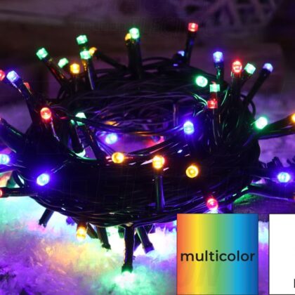 LED SVJETLOSNI LANAC S PROGRAMOM RGB 10M